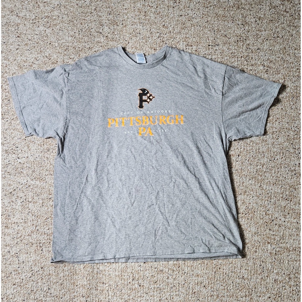 Delta Pro Weight Pittsburgh PA City of Bridges Graphic T-Shirt Gray Mens 2XL